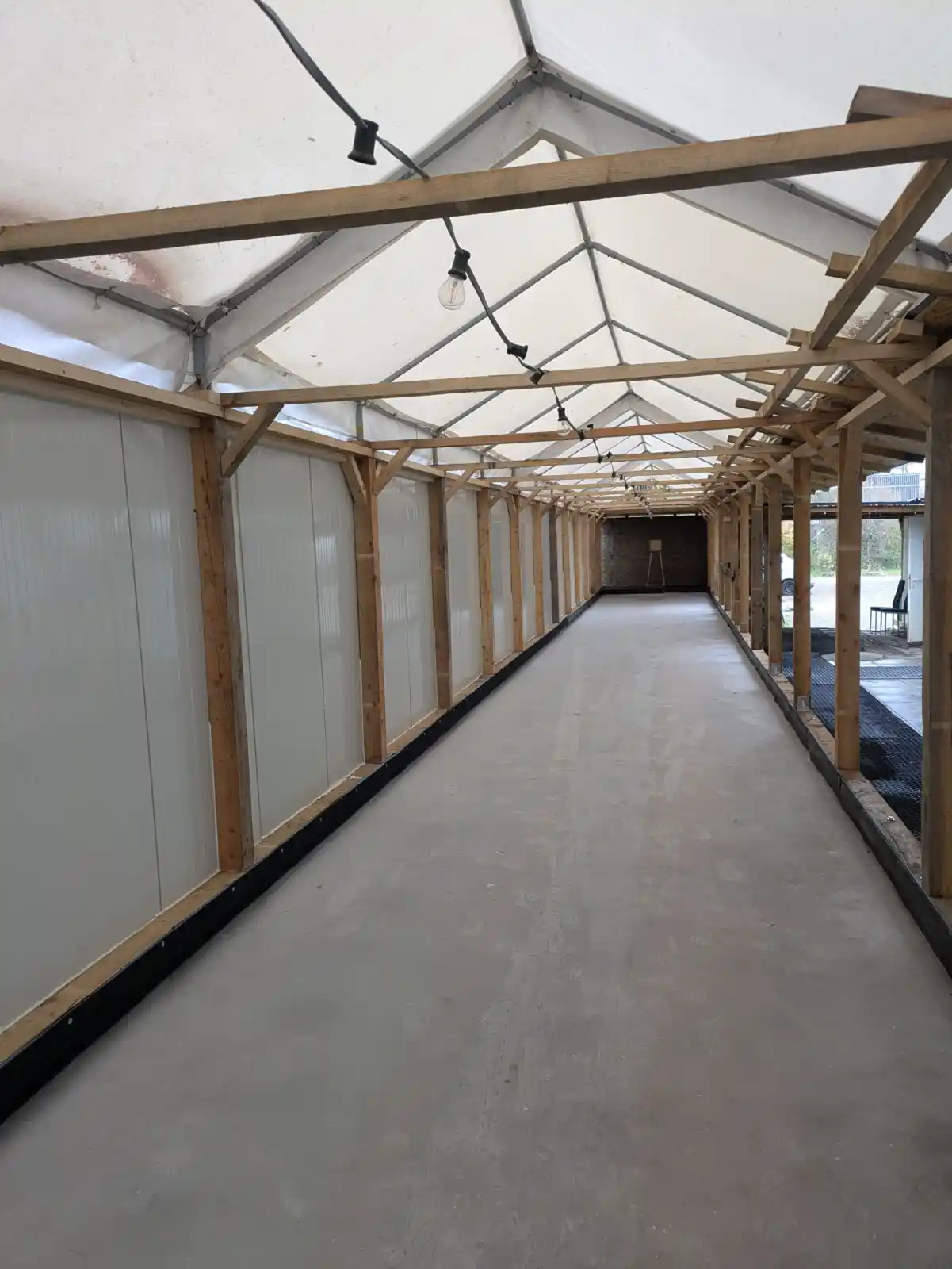 PXL 20241121 122911991